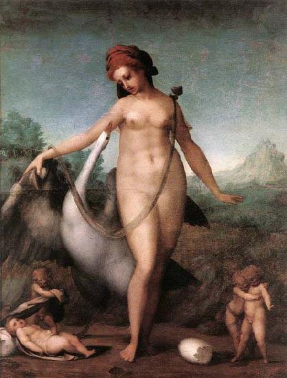 Pontormo, Jacopo Leda and the Swan oil painting image